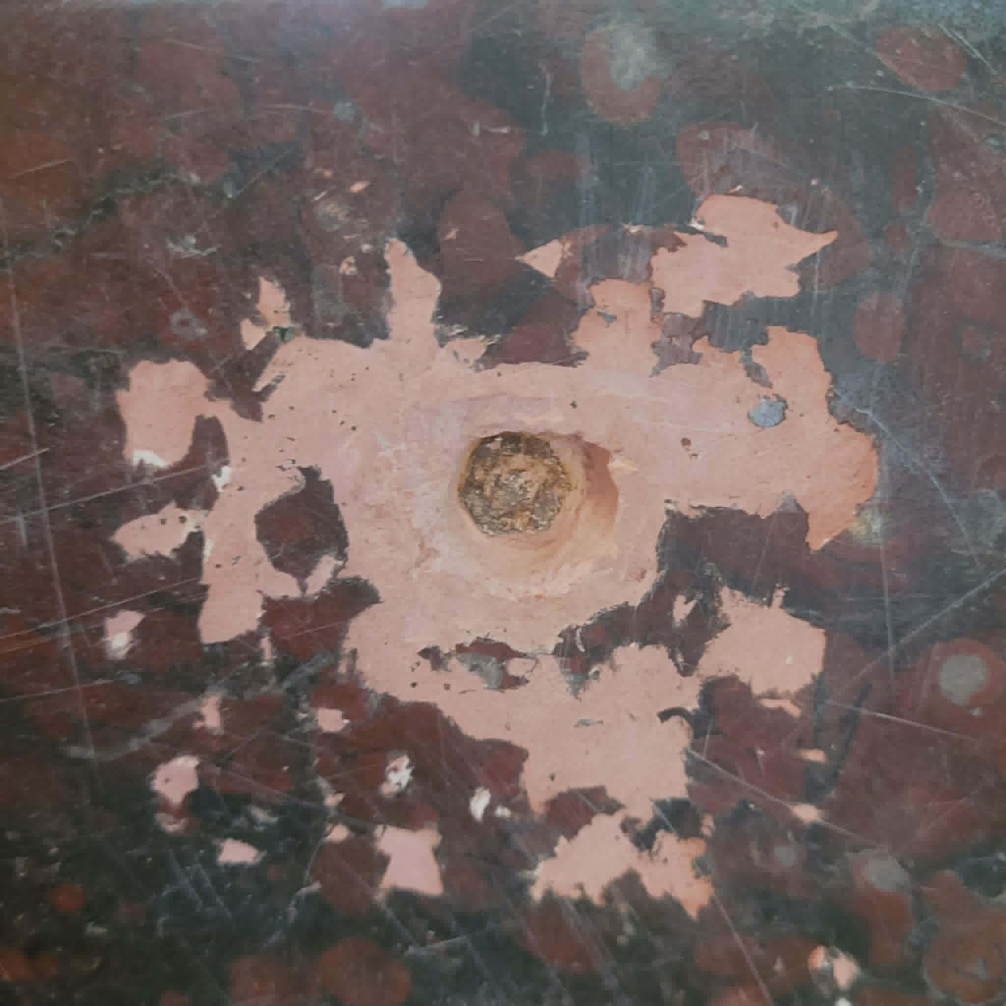 BUSTE EN MARBRE ET BRONZE