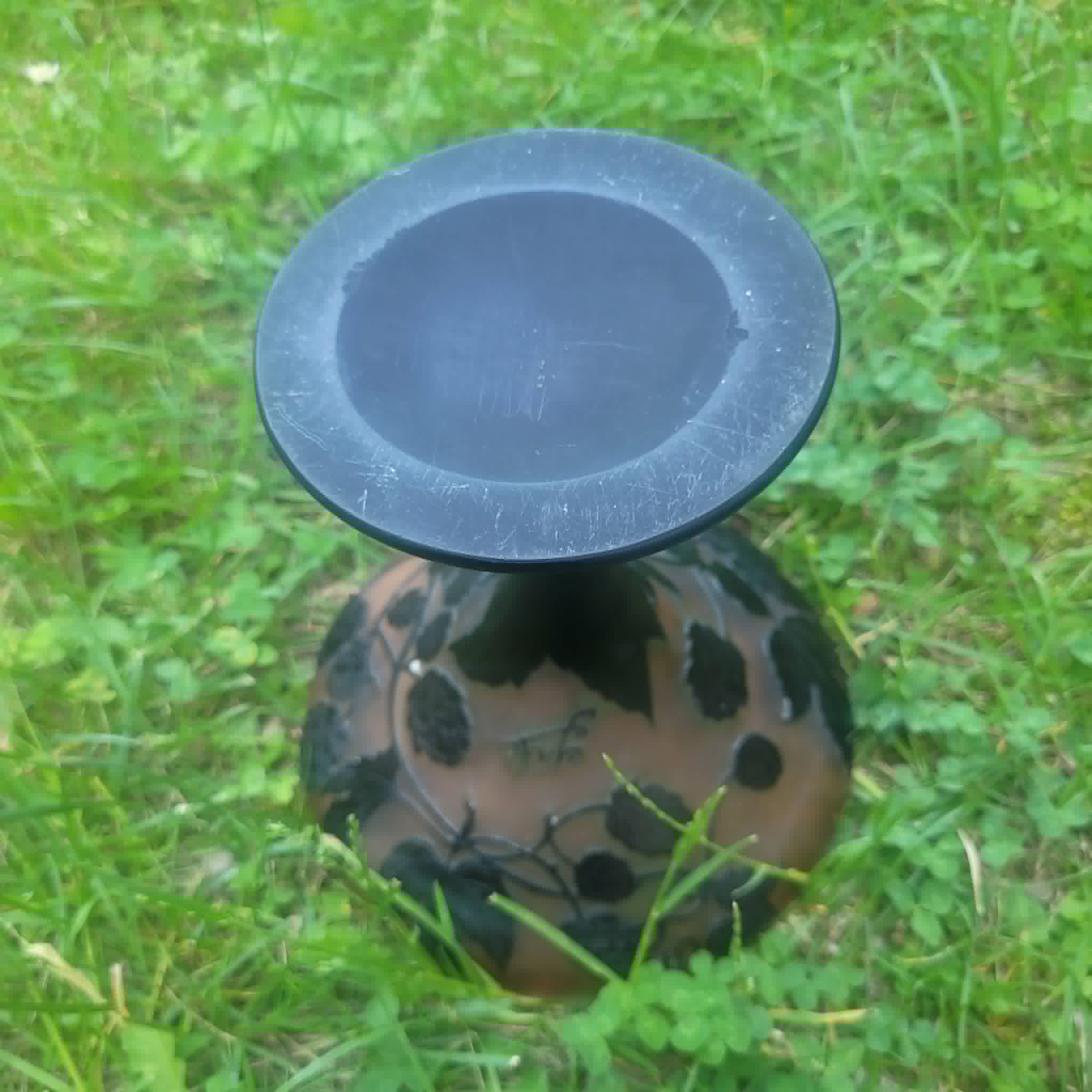 VASE / COUPE GALLé