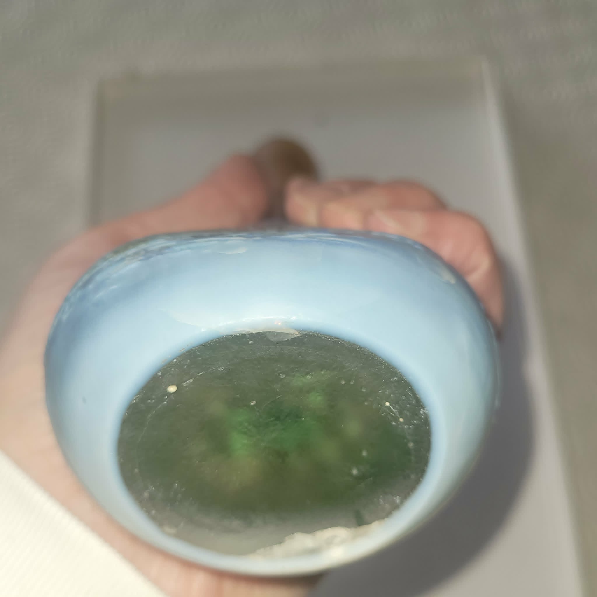 VASE LEGRAS