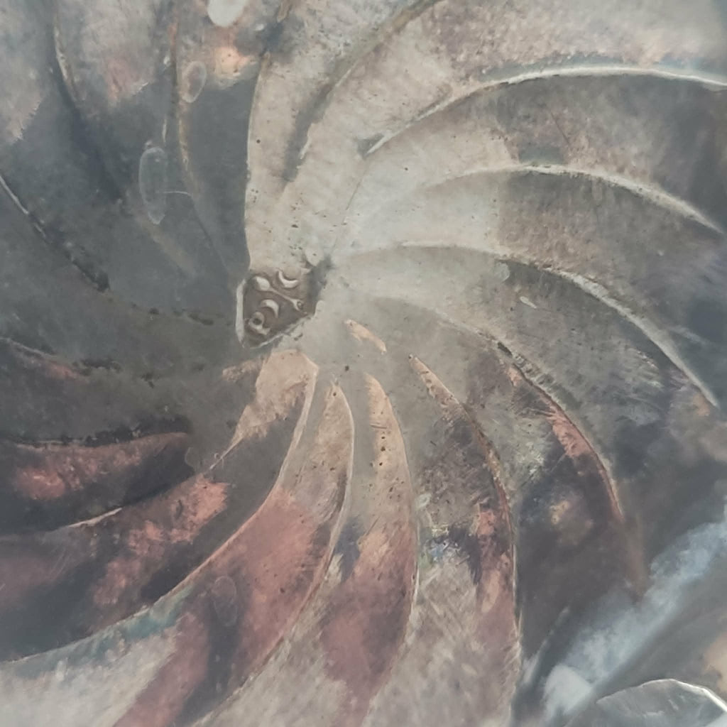 SALERON EN ARGENT