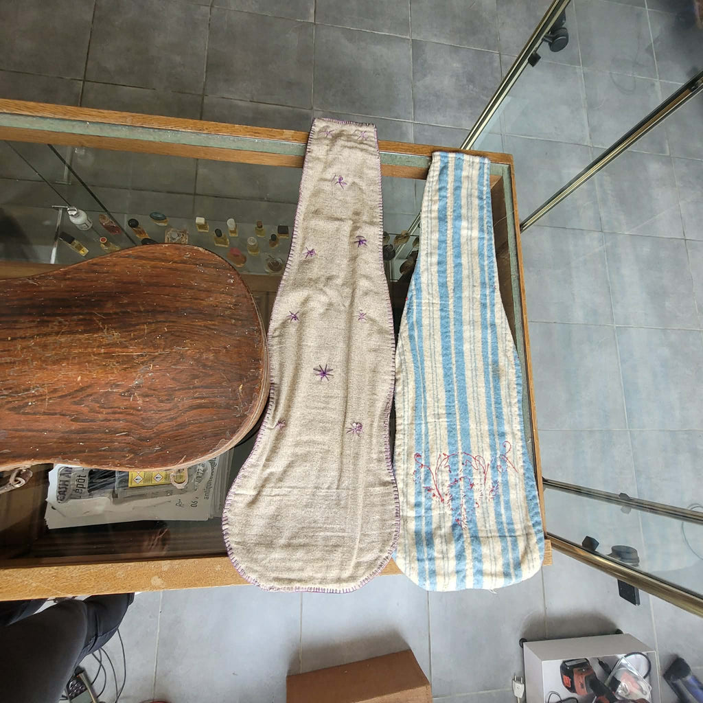Violon Stradivarius de Nicolas Duchene